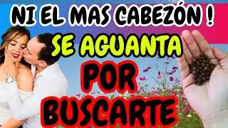 HARÁ LO QUE SEA! POR SABER DE TI