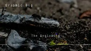 Graphic Bug - The Beginning