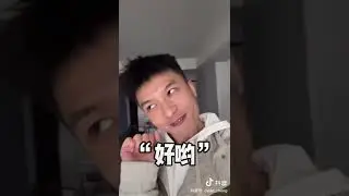哦哦