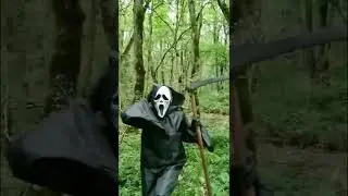 приключения в лесу, ищем грибы 
