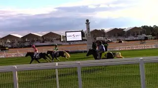 Shetland Races @ The Maryland 5* 2023
