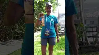 Rosanne does the triple jump, Women 70 74, National Senior Games 2023, 3 89m, 7th last place, and sh