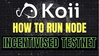 KOII Network Incentivised Testnet | How to Run Node and Earn Rewards