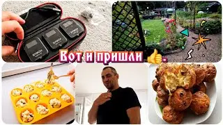 Ну и урожай🙊/Приехали микрофоны🎤/Быстрый завтрак или перекус😋.