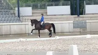 Siggy last day in Aachen before Tokyo