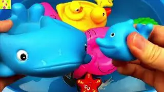 Zoo animals