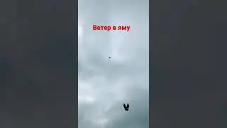 Николашки