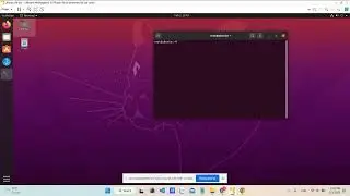 Lập trình linux | Quản lý user và group bằng shell | Quản lý file và folder | Ubuntu