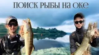 РЫБАЛКА НА ОКЕ | ЗЛЫЕ ПОКЛЕВКИ | ЩУКА | СУДАК