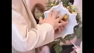 Лучший свадебный прикол