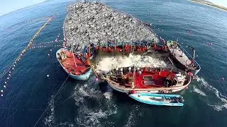 Amazing Net Casting Skills To Catch Big Fishing In The Sea