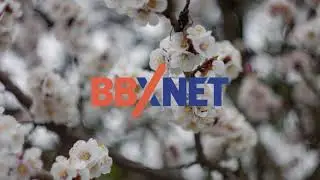 BBXNET reklama jar 2021