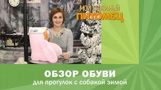 ОБЗОР зимних сапог для прогулок с собакой