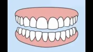 Aligner32 provides extremely affordable teeth straightening --  https://tinyurl.com/yj839ejz