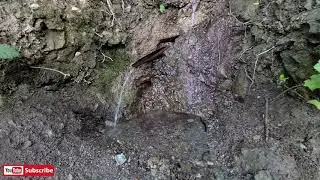 Lake Chabot Regional Park