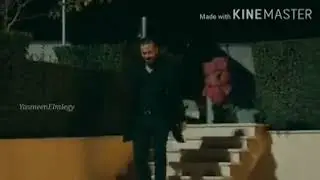 (مصاحبش فرافير حتي لو راكبين فراري ) 😂❤