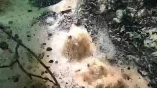 Ergene nehrinin doğduğu kaynaklardan biri