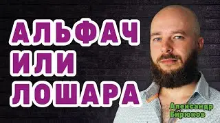 Альфач или лошара. Почему тебя не любят девушки