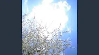 мне больше нечего есть