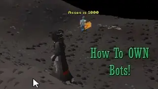 How to Mess With BOTS on OSRS