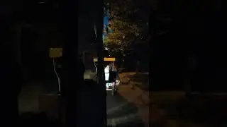 Осень в Парке Сокольники. День города  Москвы.