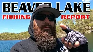 Beaver Lake Fishing Report | Late April 2023