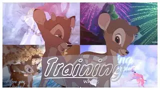 Training Wheels | FULL Animash Dedication MEP ♥