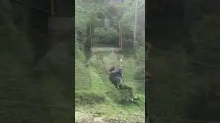 Zeki Uçkan  “NaZaR                                            Söz müzik : Zeki Uçkan