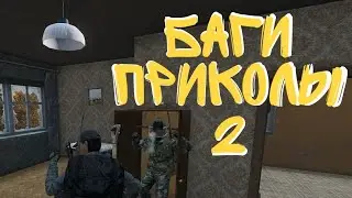 DayZ - Баги, Приколы 2