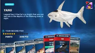 New Fish: Yang - Fishing Clash Gameplay Ep32
