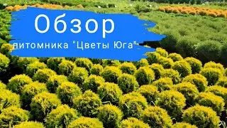Обзор питомника 