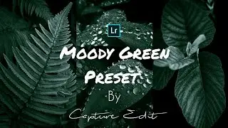 Moody Dark Green - Lightroom Mobile editing।। Moody Green Lightroom Mobile