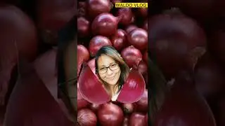 Split Onion 