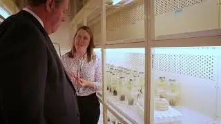 Gene Editing