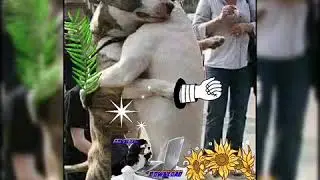 Peba 😂 bebi Água 😁 tomando banho 👍 é outros