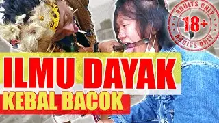 KESAKTIAN dari Orang yang mengaku SUKU DAYAK KALIMANTAN ilmu kebal BACOK