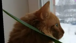 Я Вернусь У Меня 101
