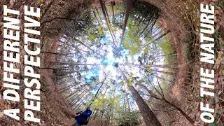 A Different Perspective Of The Nature || Gardening To Photography But How?