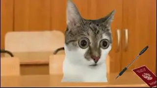 Как я писала ОГЭ по математике #мемныекоты #котики