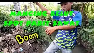 mancing belut di spot parit sawah || belutnya lumayan besar besar guys