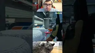 Fat Cat Quickfire Reel