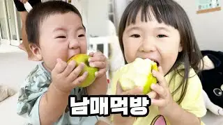 앞니  4개로 사과 베어 먹는 9개월 아기랑이/ 배우 김민재님 카페 모먼트아트 다녀왔어요! / 표선 여행 칼국수맛집/ 제주도 애개 주말육아 브이로그