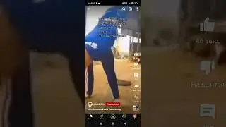 #мем#tiktok #вреки
