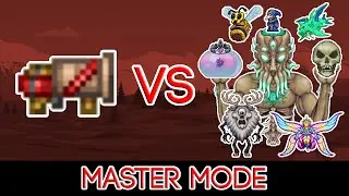 Terraria 1.4.4.9 - Celebration vs ALL Bosses (Master Mode)