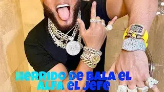 tirotean   guagua del  alfa en MIAMI mientra hacia un live