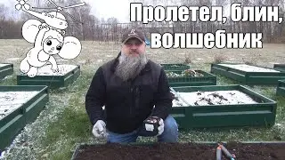 Контроль зимовки оставшихся в живых пчелосемей. Очередная ревизия на пасеке.