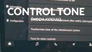 How to Disable Tone for Other Controls on Škoda Kodiaq (Quick Tutorial)