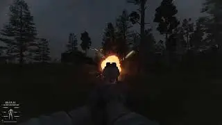 Dances with Chimeras | S.T.A.L.K.E.R. GAMMA pistol