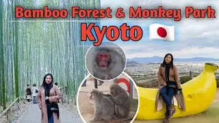 The Bamboo Forest and Monkey Park in Kyoto Japan|Explore Kyoto Prt.2|Gets Hobbies