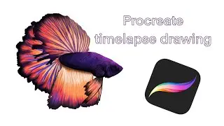 Procreate Betta Fish time-lapse